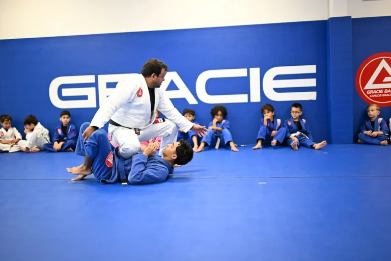 Jiu-Jitsu near South Miami